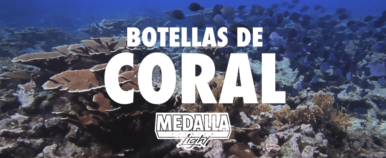 Botellas de Coral