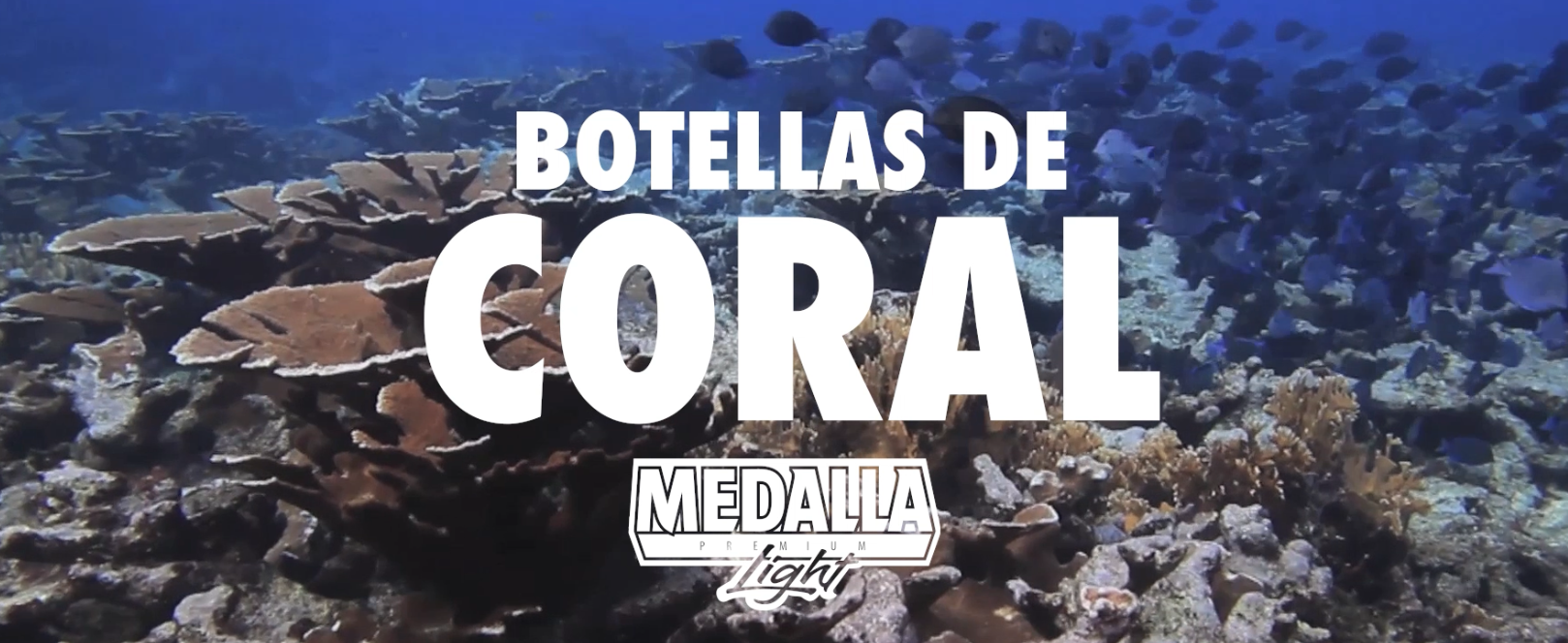  Botellas de Coral