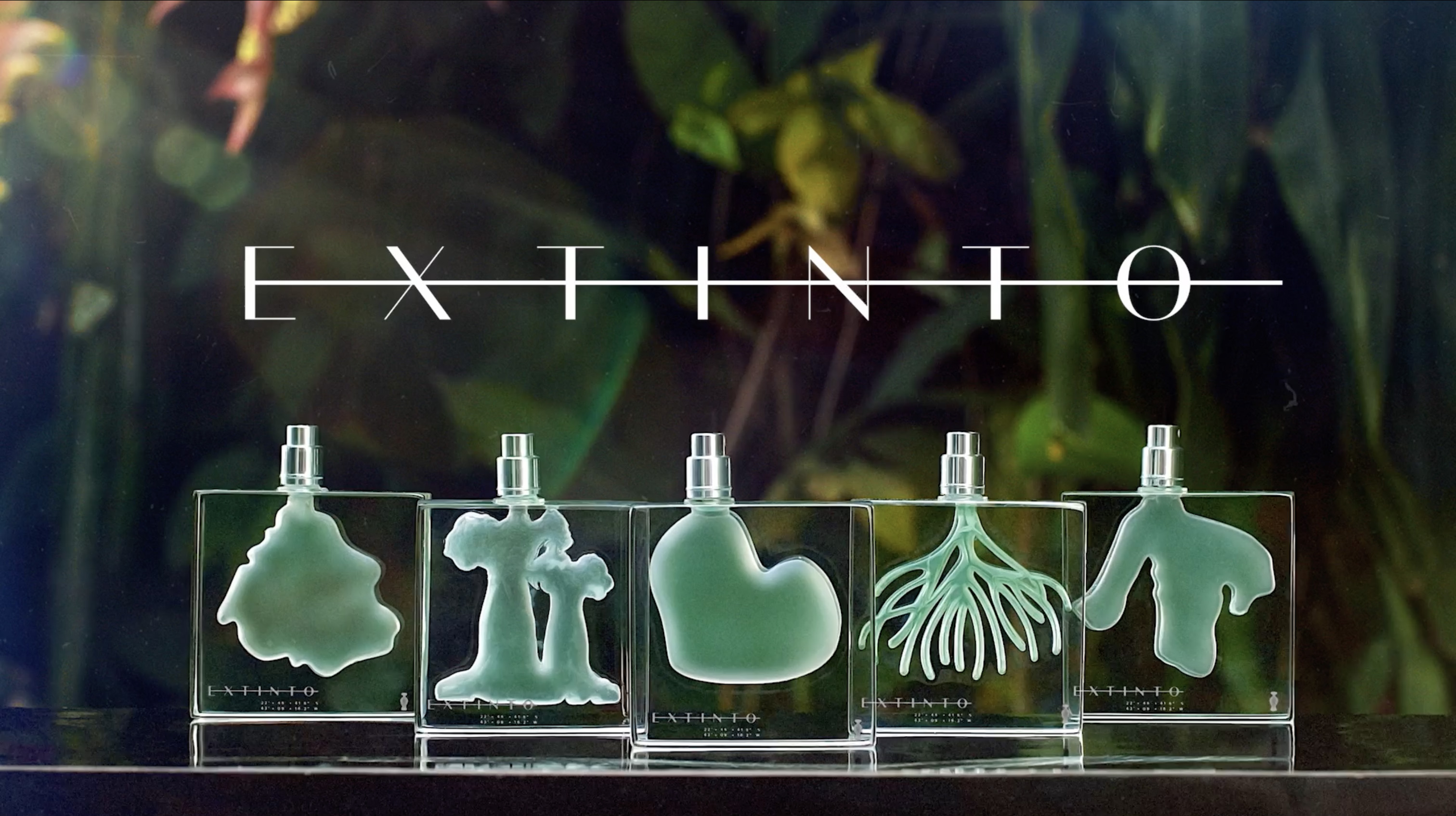 Extinto:   una línea de perfumes que está ayudando a salvar paraísos en todo el mundo. Extinto