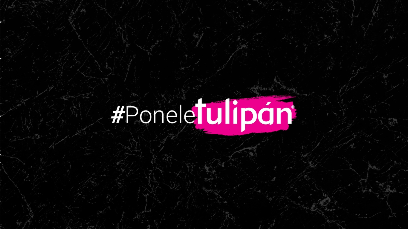 Ponele Tulipán